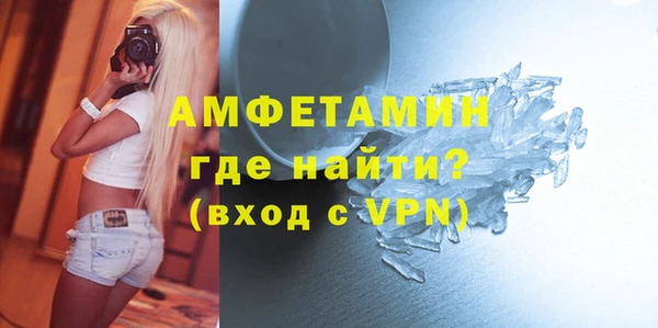 PSILOCYBIN Ельня