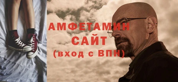 PSILOCYBIN Ельня