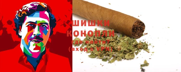 амф Новодвинск
