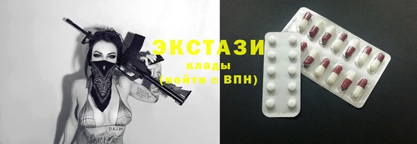 индика Дмитров