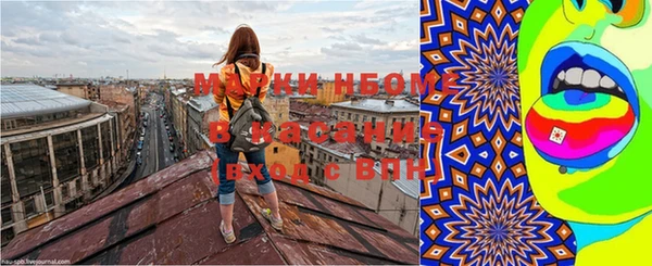 PSILOCYBIN Ельня