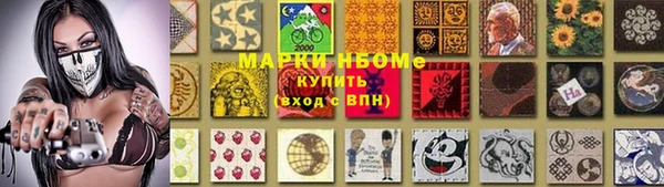 индика Дмитров